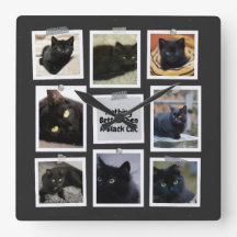 Nada Melhor Que Um Gato Negro