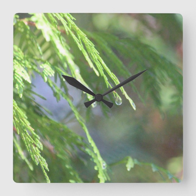 Relógio Quadrado Natureza Inspirada (Frente)