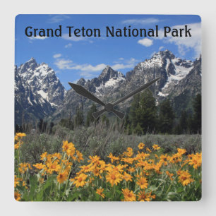 Relógio Quadrado Neve no Parque Nacional Grand Teton em Primavera