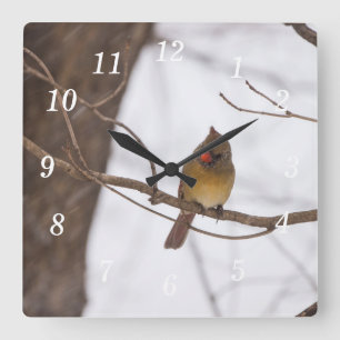 Relógio Quadrado Neve Novamente Diz A Sra. Cardinal Wall Clock