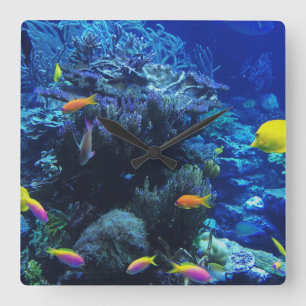 Relógio Quadrado no oceano pesquem este código em uma canvas digit