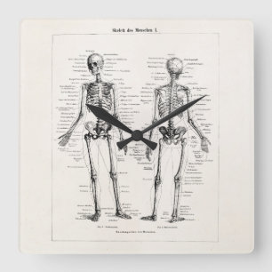 Relógio Quadrado O osso humano de esqueleto da anatomia do vintage