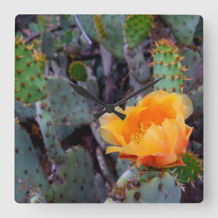 Relógio Quadrado Opuntia De Pear De Laranja Flores, Prickly Pera, C