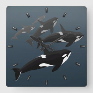 Relógio Quadrado Orca Whale Clock Killer Whale Decor Gifes de Balei