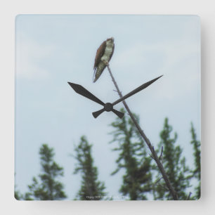 Relógio Quadrado Osprey 9028