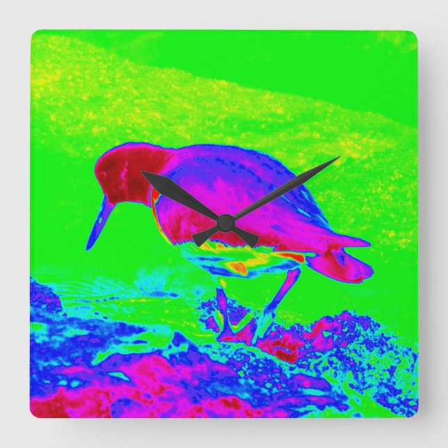 Relógio Quadrado Oyster Catcher (Frente)