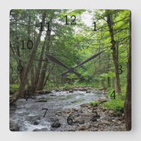 Paisagem Foto 1 Forest River Woods Green