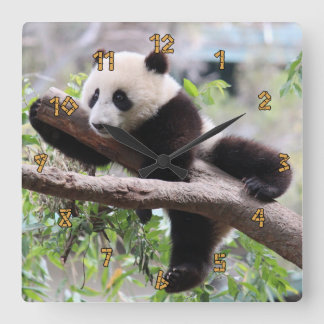 Relógio Quadrado Panda Cub