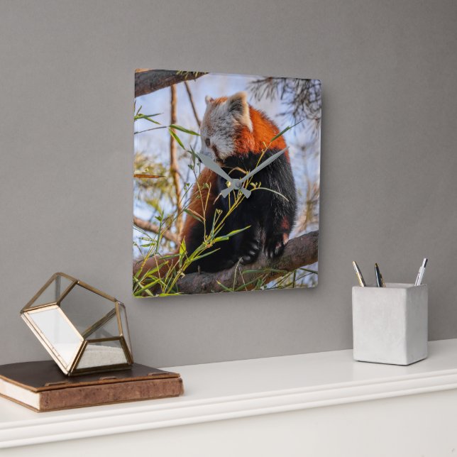 Relógio Quadrado Panda vermelha (Escritório)