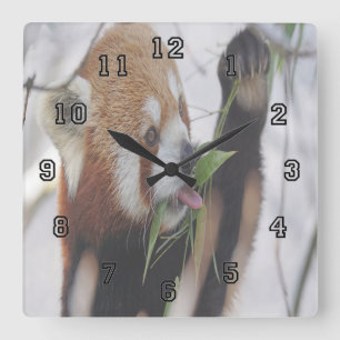 Relógio Quadrado Panda Vermelha Fome