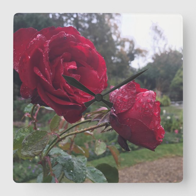 Relógio Quadrado Par da Rosa vermelha (Frente)