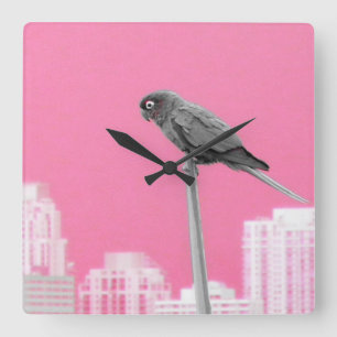 Relógio Quadrado ~Parrot~ WALL CLOCK, PINK, PERSONALIZE-O!