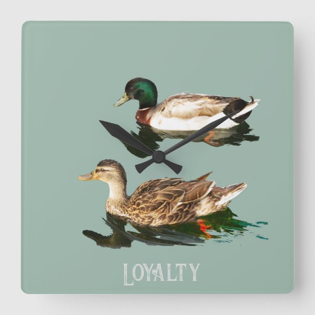 Relógio Quadrado Patos-de-pata (Frente)