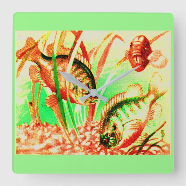 Relógio Quadrado peixe-sol água fresca (Frente)