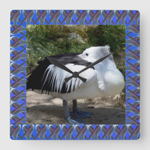 Relógio Quadrado Pelican Cat Napping Standing Up,