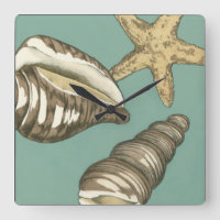 Pequena Shell Trio no Teal