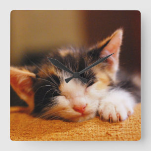Relógio Quadrado Pequeno Gatinho dormindo