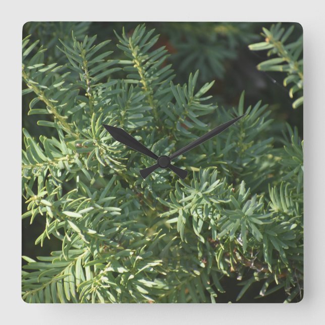 Relógio Quadrado Pine Forest (Frente)