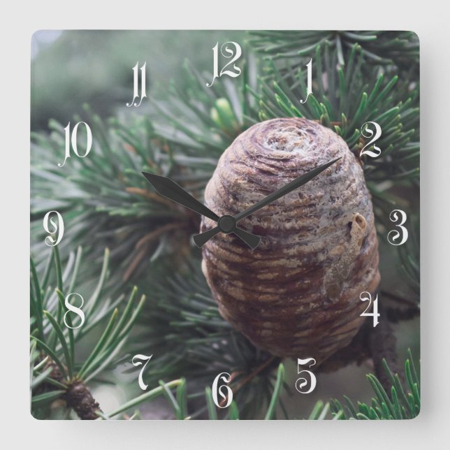 Relógio Quadrado Pinecones (Frente)