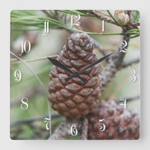 Relógio Quadrado Pinecones