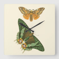 Pintura de Borboleta Ligeiramente Bordada