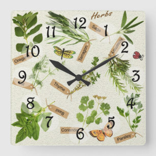 Relógio Quadrado Plantas aromáticas