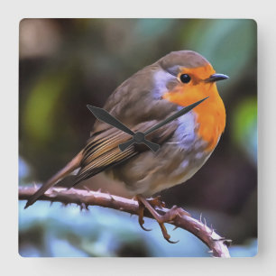 Relógio Quadrado Plump Robin Perch Em Uma Arte De Vida Selvagem De 