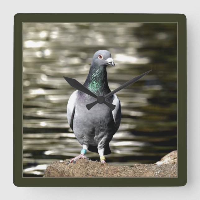 Relógio Quadrado Pombo (Frente)