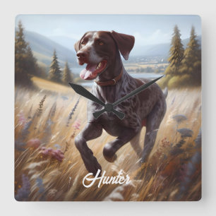 Relógio Quadrado Ponteiro alemão Shorthair em execução