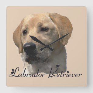 Relógio Quadrado Presentes de Arte Amarelo Labrador Retriever