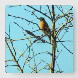 Relógio Quadrado Primavera Robin
