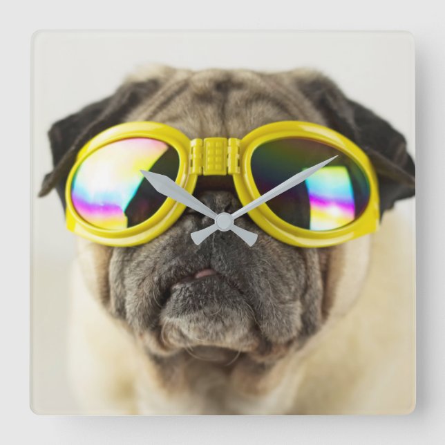 Relógio Quadrado Pug com óculos (Frente)