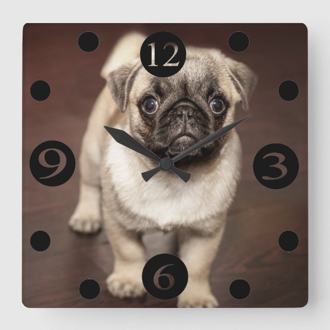 Relógio Quadrado Pug Gato (Frente)