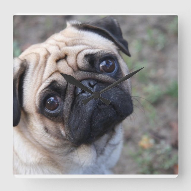 Relógio Quadrado Pug Wall Clock (Frente)