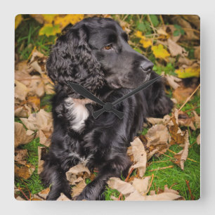 Relógio Quadrado Pulso de disparo