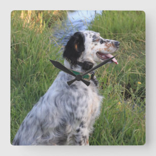 Relógio Quadrado Pulso de disparo de parede com os cães da pena