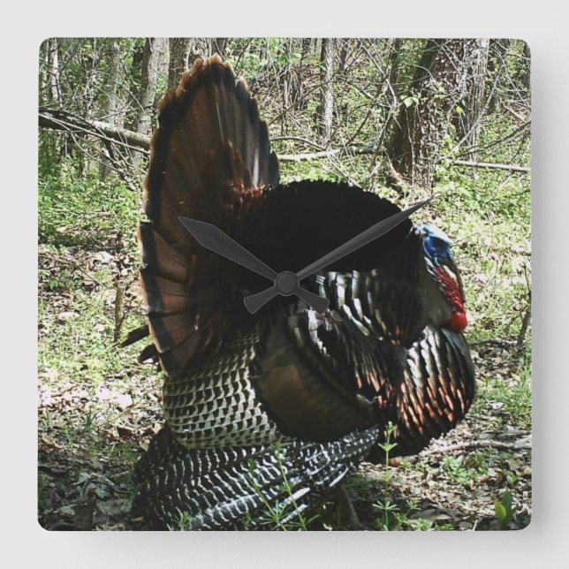 RELÓGIO QUADRADO PULSO DE DISPARO DE PAREDE COMPLETO DO QUADRADO DO (Frente)