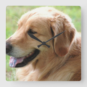 Relógio Quadrado Pulso de disparo do filhote de cachorro do golden