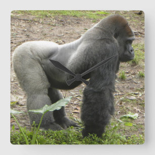 Relógio Quadrado Pulso de disparo poderoso do gorila