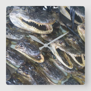 Relógio Quadrado Pulso de disparo principal do jacaré