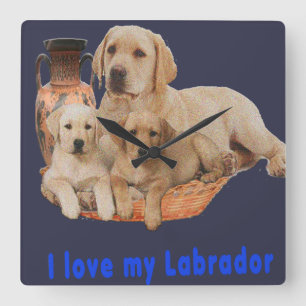 Relógio Quadrado Pulsos de disparo de labrador retriever