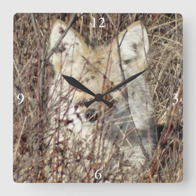 Relógio Quadrado R21 Coyote "Vigiando você" (Frente)