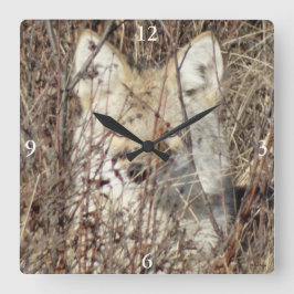 Relógio Quadrado R21 Coyote "Vigiando você"