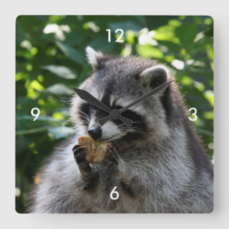 Relógio Quadrado Raccoon_2015_0116