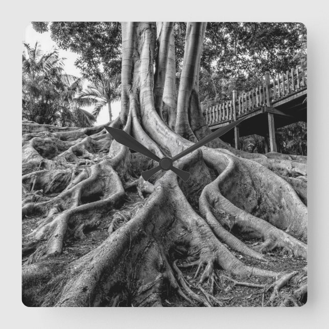 Relógio Quadrado Raízes maciças de seringueiras (Frente)