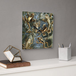 Relógio Quadrado Rãs e Sapos Vintage Batrachia por Ernst Haeckel