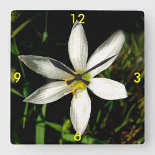 Relógio Quadrado Relógios de Bela Branca