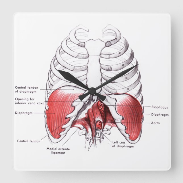 Relógio Quadrado Relógios de Sala de Massagem (Frente)