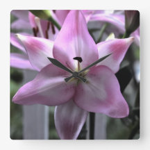 Resiliência Floral