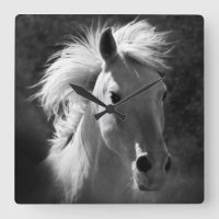 Retrato de Cavalo V